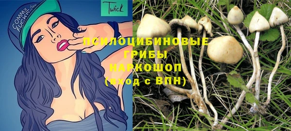 PSILOCYBIN Белокуриха